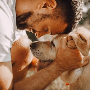 A dog and a man touching foreheads