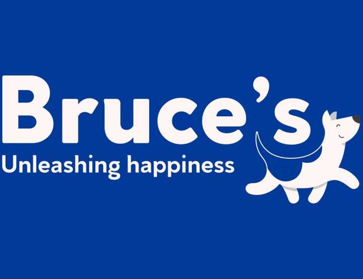 Bruce's Doggy Day Care logo