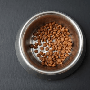 A metal bowl of dry pet food
